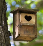 Bird House