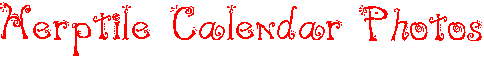 Herptile Calendar Photos
